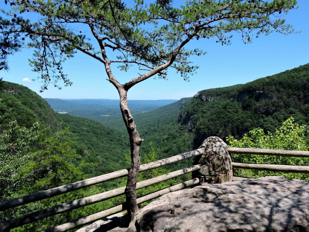 You can enjoy epic views all along the West Rim Loop Trail at Cloudland Canyon State Park.