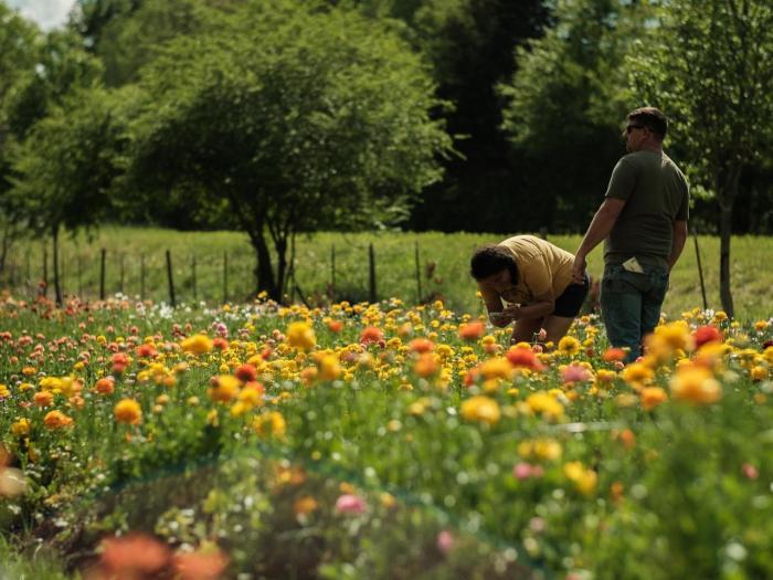 Creekside Flower farm