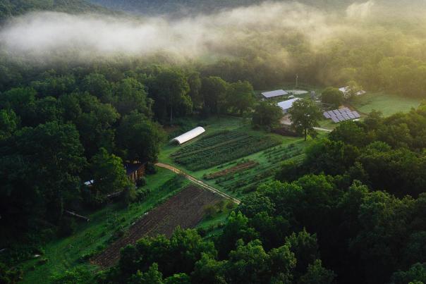 Sequatchie Cove Farm Aerial
