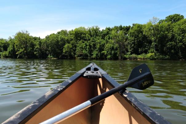 Tennessee River Paddling