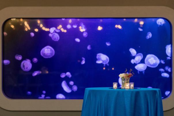 Tn Aquarium_Event Space_PC Dan Henry